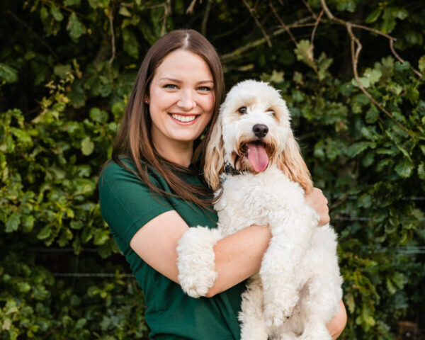 Dog walking school Kent