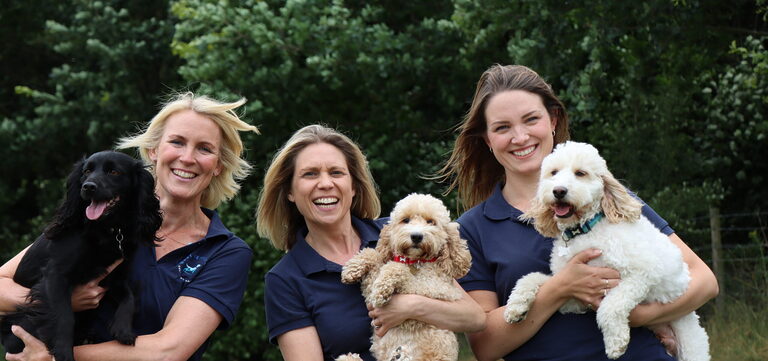 Thumbnail for Best Behaviour School for Dogs’ 2026 Workshops