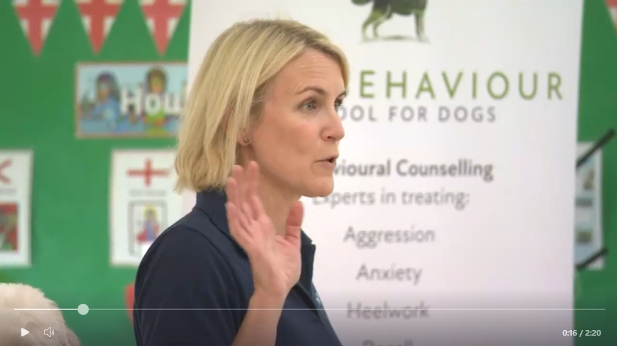 Meridian TV Spotlights Our ‘Prevent Dog Bites in Children’ Drive