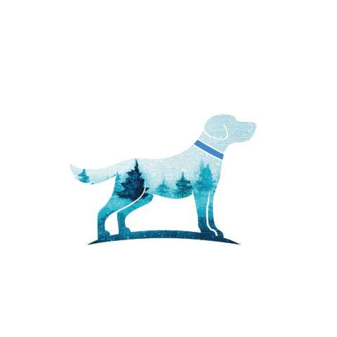 Best Behaviour School For Dogs