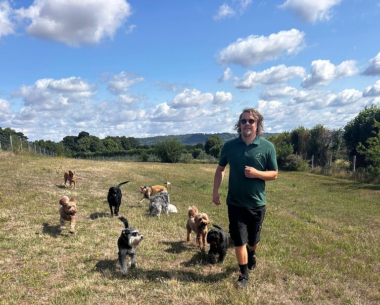 Thumbnail for We are expanding! Dog Walking in West Malling & Kings Hill!